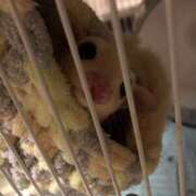 ヒメ日記 2025/03/07 12:34 投稿 水無月　こゆき 魅惑の官能アロマエステ　Eureka！八王子 ～エウレカ！～