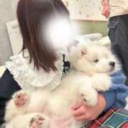 ヒメ日記 2024/12/08 06:56 投稿 かざり マリン千姫