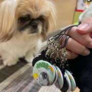 ヒメ日記 2024/12/15 20:26 投稿 かざり マリン千姫