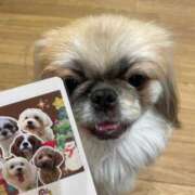 ヒメ日記 2024/12/20 09:56 投稿 かざり マリン千姫