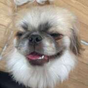 ヒメ日記 2024/12/27 07:07 投稿 かざり マリン千姫