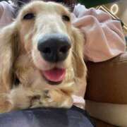 ヒメ日記 2024/12/31 13:45 投稿 かざり マリン千姫