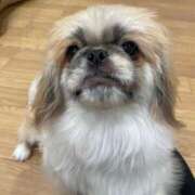 ヒメ日記 2025/01/11 09:56 投稿 かざり マリン千姫