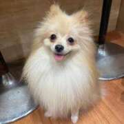 ヒメ日記 2025/01/23 17:47 投稿 かざり マリン千姫