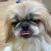 ヒメ日記 2025/02/01 13:26 投稿 かざり マリン千姫