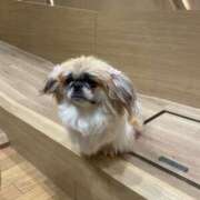 ヒメ日記 2025/02/08 05:06 投稿 かざり マリン千姫