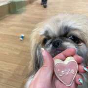 ヒメ日記 2025/02/10 12:21 投稿 かざり マリン千姫