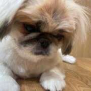 ヒメ日記 2025/02/15 06:48 投稿 かざり マリン千姫