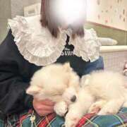 ヒメ日記 2025/02/23 06:56 投稿 かざり マリン千姫