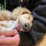 ヒメ日記 2025/02/23 22:46 投稿 かざり マリン千姫