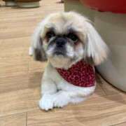 ヒメ日記 2025/03/04 08:16 投稿 かざり マリン千姫