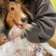 ヒメ日記 2025/03/09 08:36 投稿 かざり マリン千姫