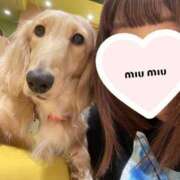 ヒメ日記 2025/03/10 07:06 投稿 かざり マリン千姫