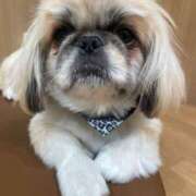 ヒメ日記 2025/03/11 22:46 投稿 かざり マリン千姫