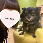 ヒメ日記 2025/03/16 10:56 投稿 かざり マリン千姫