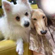 ヒメ日記 2025/04/29 07:01 投稿 かざり マリン千姫