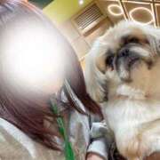 ヒメ日記 2025/04/30 17:37 投稿 かざり マリン千姫