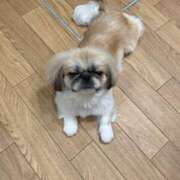 ヒメ日記 2025/05/01 08:26 投稿 かざり マリン千姫