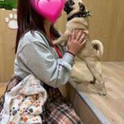 ヒメ日記 2025/05/06 06:56 投稿 かざり マリン千姫