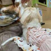 ヒメ日記 2025/05/10 06:47 投稿 かざり マリン千姫