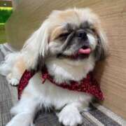 ヒメ日記 2025/05/12 14:36 投稿 かざり マリン千姫