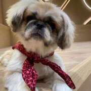 ヒメ日記 2025/05/18 06:56 投稿 かざり マリン千姫