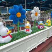 ヒメ日記 2025/05/27 10:56 投稿 かざり マリン千姫