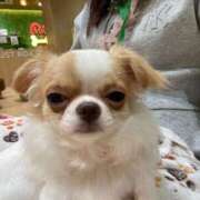 ヒメ日記 2025/06/04 05:16 投稿 かざり マリン千姫