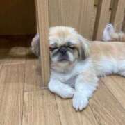 ヒメ日記 2025/07/01 23:26 投稿 かざり マリン千姫