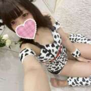 ヒメ日記 2025/07/17 12:06 投稿 かざり マリン千姫