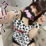 ヒメ日記 2025/07/19 14:46 投稿 かざり マリン千姫