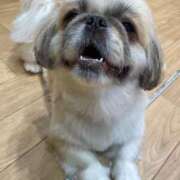 ヒメ日記 2025/07/27 06:31 投稿 かざり マリン千姫