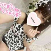 ヒメ日記 2025/09/14 11:33 投稿 かざり マリン千姫