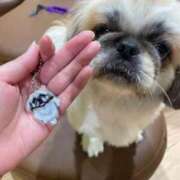 ヒメ日記 2025/09/24 20:42 投稿 かざり マリン千姫