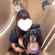 ヒメ日記 2025/09/28 08:22 投稿 かざり マリン千姫