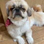 ヒメ日記 2025/09/29 07:24 投稿 かざり マリン千姫