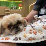 ヒメ日記 2025/11/01 23:15 投稿 かざり マリン千姫