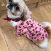 ヒメ日記 2025/11/24 20:42 投稿 かざり マリン千姫