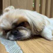 ヒメ日記 2025/12/06 05:42 投稿 かざり マリン千姫