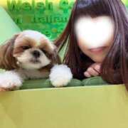 ヒメ日記 2025/12/13 05:22 投稿 かざり マリン千姫