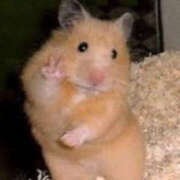 ヒメ日記 2025/10/18 11:57 投稿 もな ハピネス東京