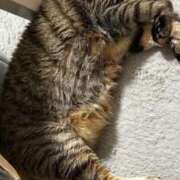 ヒメ日記 2025/03/25 16:44 投稿 ゆら キスMy