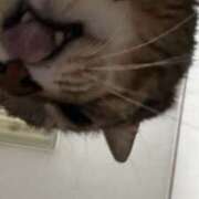 ヒメ日記 2025/05/02 12:15 投稿 ゆら キスMy