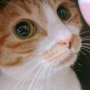 ヒメ日記 2025/06/19 12:05 投稿 ゆら キスMy