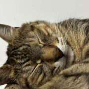 ヒメ日記 2025/06/28 09:01 投稿 ゆら キスMy