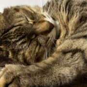 ヒメ日記 2025/06/29 12:10 投稿 ゆら キスMy