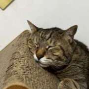 ヒメ日記 2025/07/15 14:56 投稿 ゆら キスMy