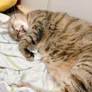 ヒメ日記 2025/07/28 11:06 投稿 ゆら キスMy