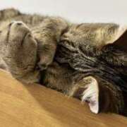 ヒメ日記 2025/09/10 12:24 投稿 ゆら キスMy