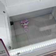 ヒメ日記 2026/10/13 07:30 投稿 ゆら キスMy